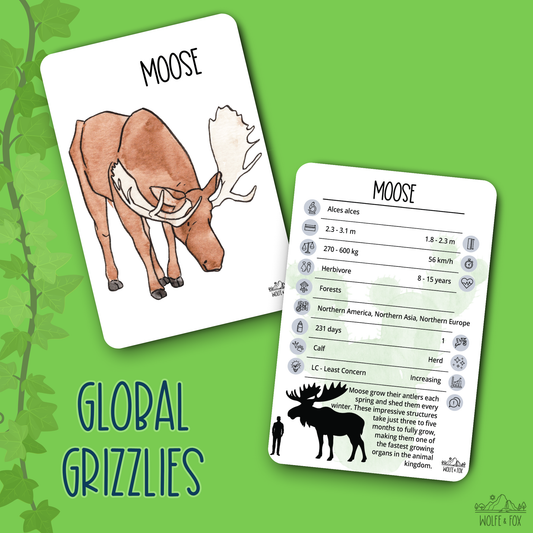 Global Grizzlies