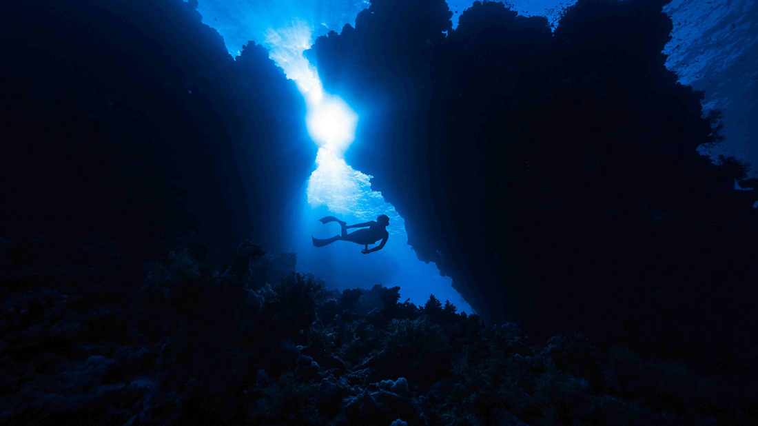 Aquatic: The Wonders of Marine and Freshwater