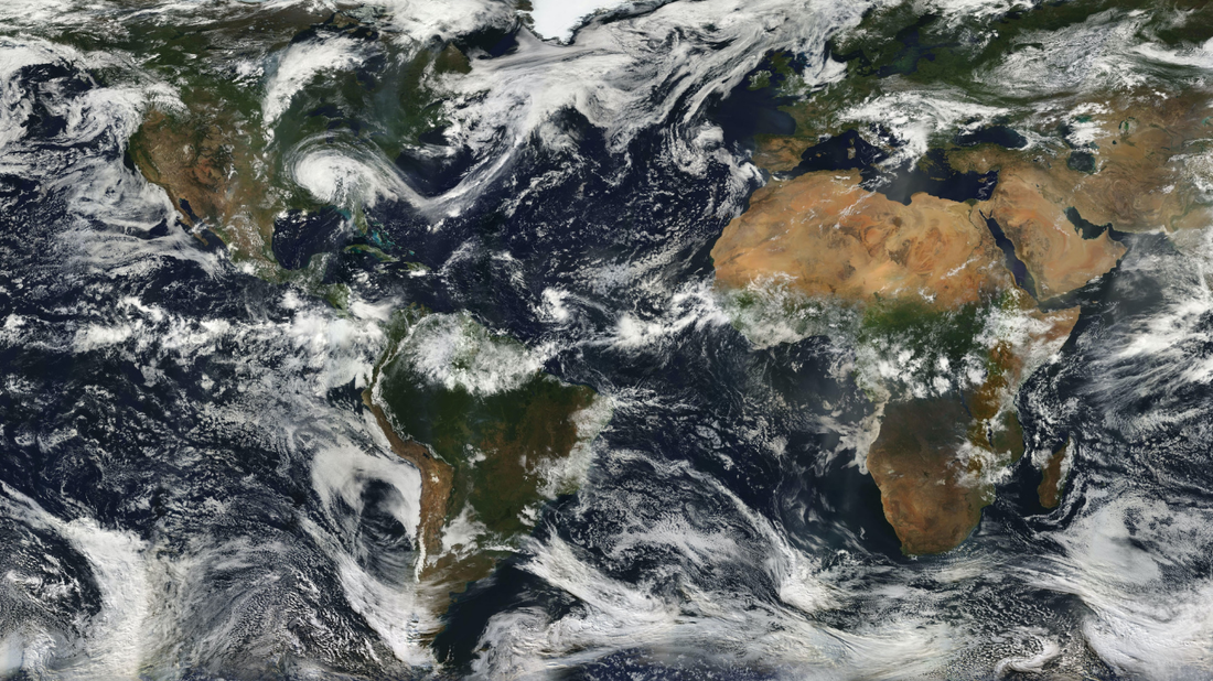 Discovering Earth’s Amazing Biogeographic Regions!
