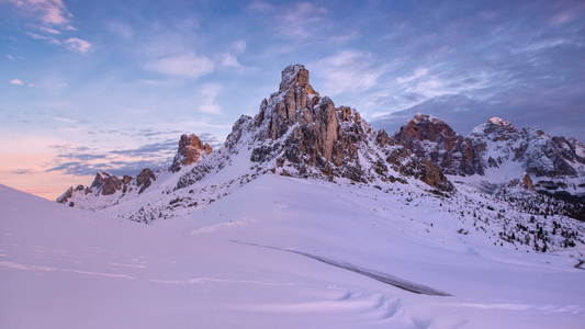 Tundra: a Frigid Symphony of Life