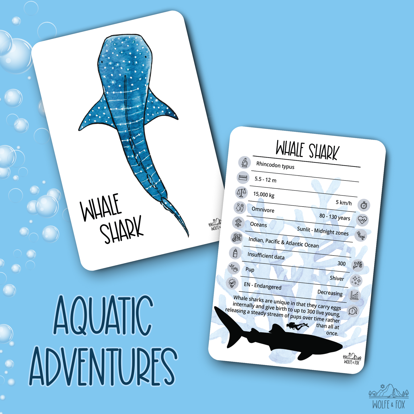 Aquatic Adventures