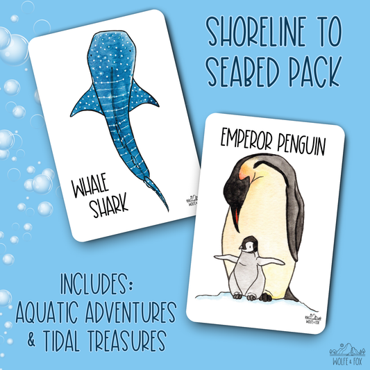 Shoreline to Seabed Pack