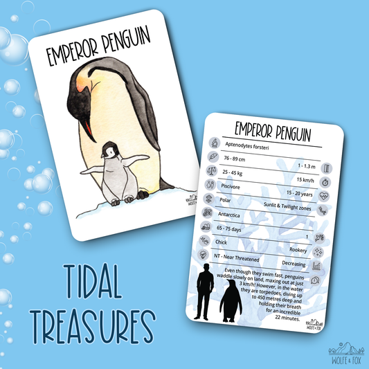 Tidal Treasures