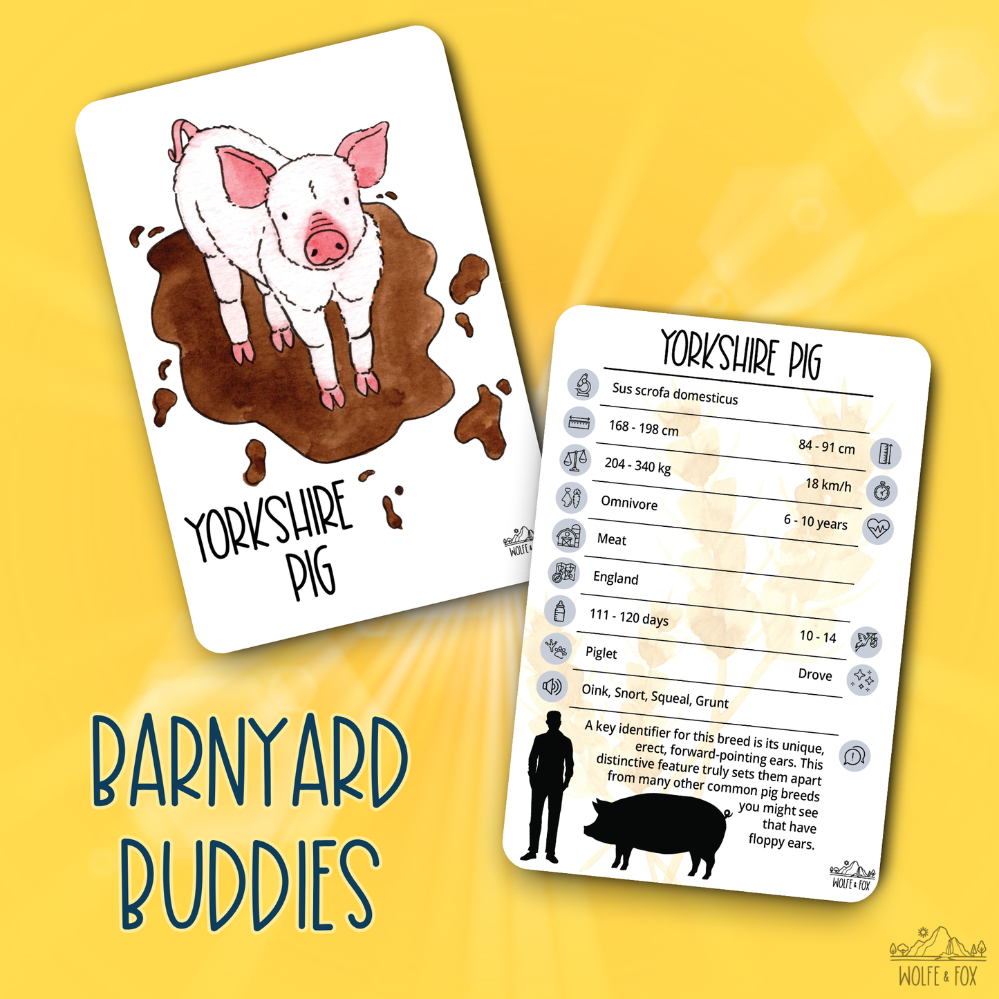 Barnyard Buddies